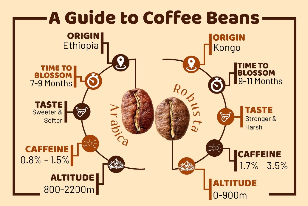 Coffee Beans | A Guide | Hetal's Homemade