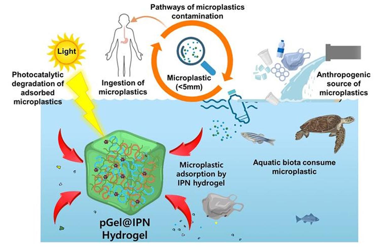 IISc researchers design novel hydrogel to remove microplastics from water -  The Hindu