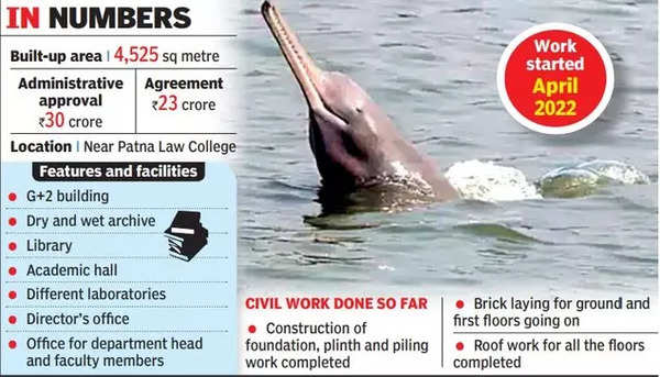 National Dolphin Research Centre: Country’s 1st Dolphin Research Centre To Come Up In City By Oct | Patna News - Times of India