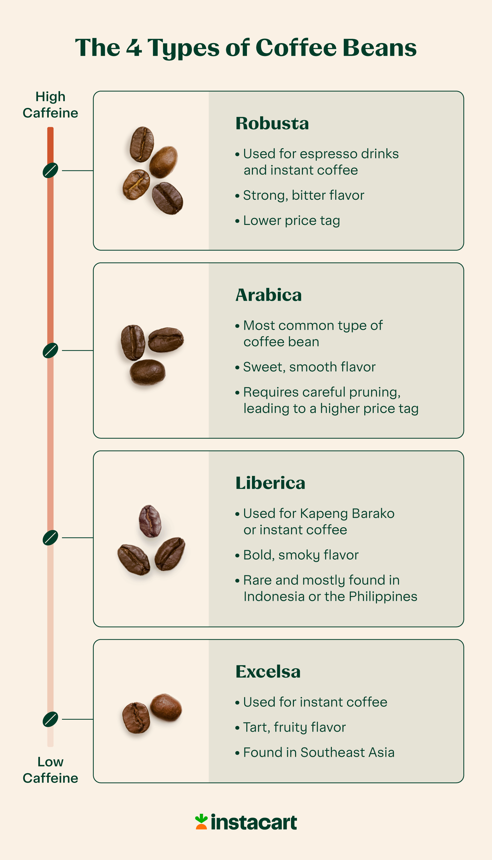 What Are The Main Types Of Coffee Beans And What's The Difference Between  Them? | Morning Coffee Journal