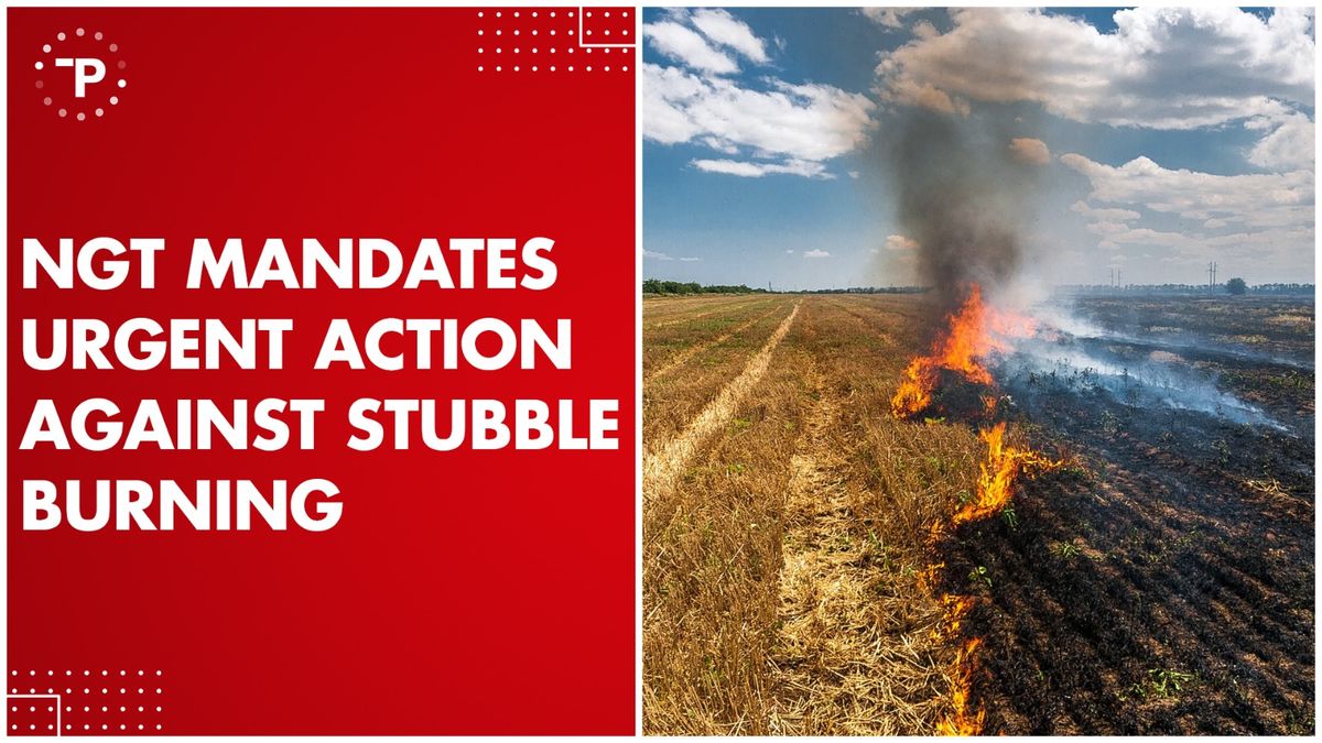 What Prompts NGT's Direction on Stubble Burning?