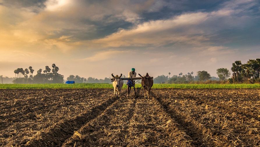 Agricultural Sector and Marketing Reforms – eNAM, Model APMC Act, Eco  Survey Reco, etc. - Civilsdaily