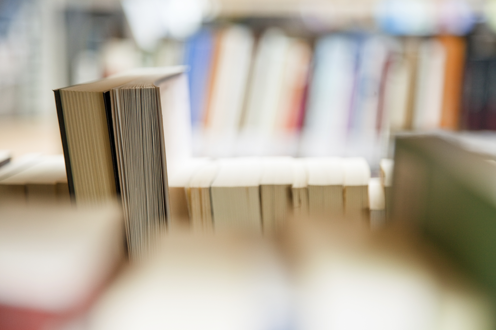 Close-up image showing the leaf-sides of two oversized books side-by-side on a bookshelf, with additional books in soft focus background